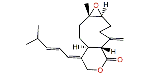 Florlide D